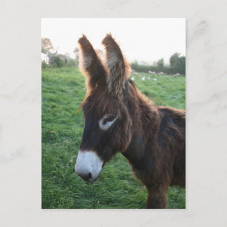 Carte Postale Normandie 2009