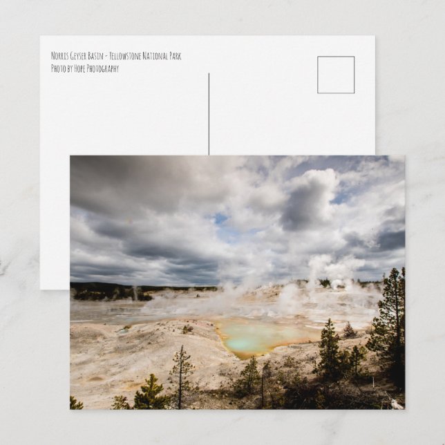Carte Postale Norris Geyser Basin Yellowstone (Devant / Derrière)