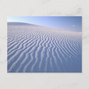 Carte Postale North America, USA, New Mexico, White Sand Dunes