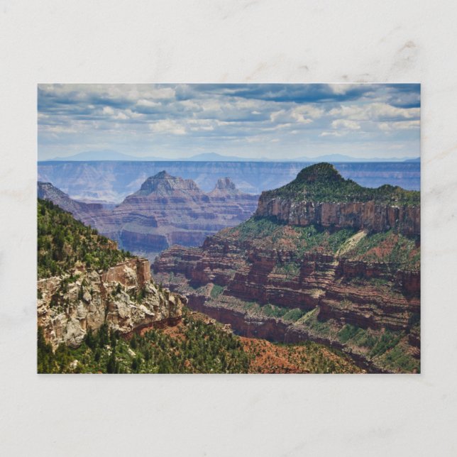 Carte Postale North Rim Gran Canyon - Grand Canyon National (Devant)