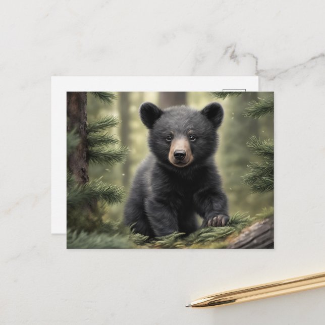 Carte postale North Woods Little Black Bear Cub (Devant/Arrière en situation)