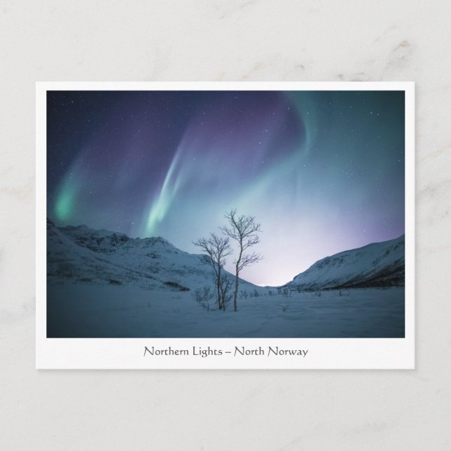 Carte postale Northern Lights (Devant)