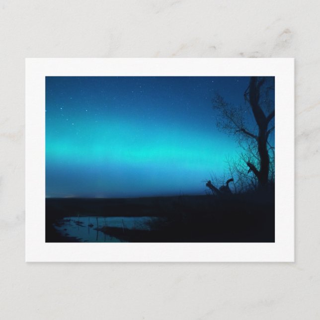 Carte Postale Northern Lights et un étang (Devant)