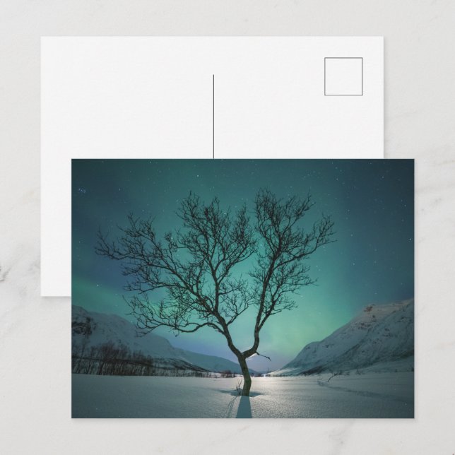 Carte Postale Northern Lights Nature Photo (Devant / Derrière)