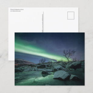Carte Postale Northern Lights Norvège