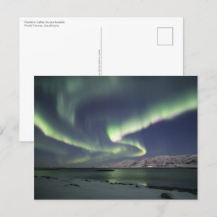Carte Postale Northern Lights Norvège