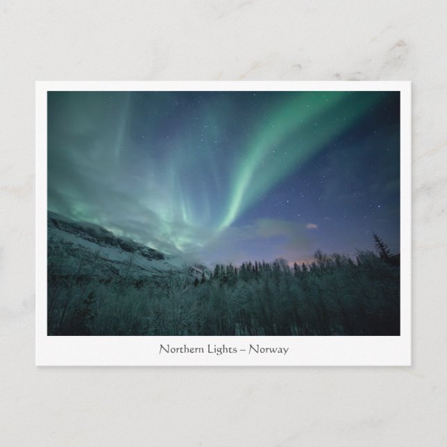 Carte Postale Northern Lights Norvège (Devant)