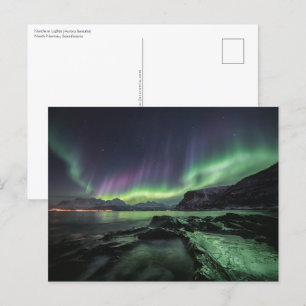 Carte Postale Northern Lights Norvège