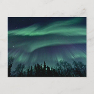 Carte Postale Northern Lights of Alaska, ZTD