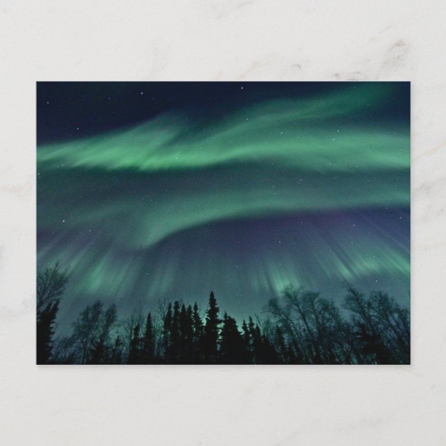Carte Postale Northern Lights of Alaska, ZTD (Devant)