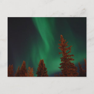 Carte Postale Northern Lights over Ft. Wainwright, AK