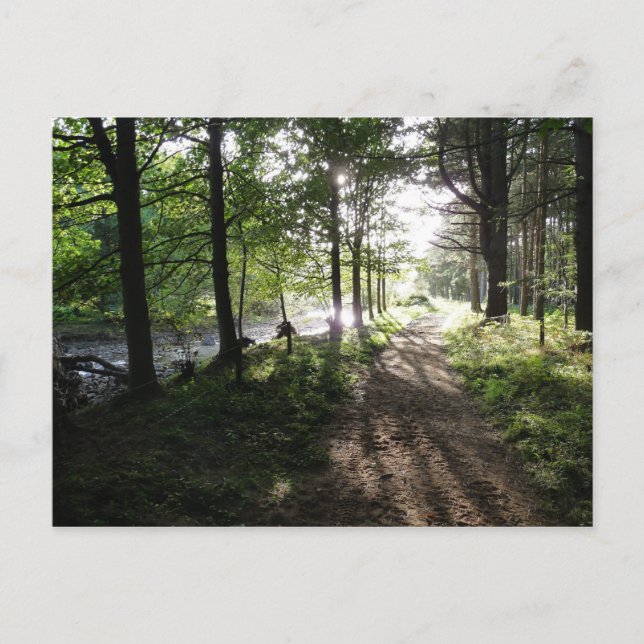 Carte postale Northumberland "Walk Near River" (Devant)