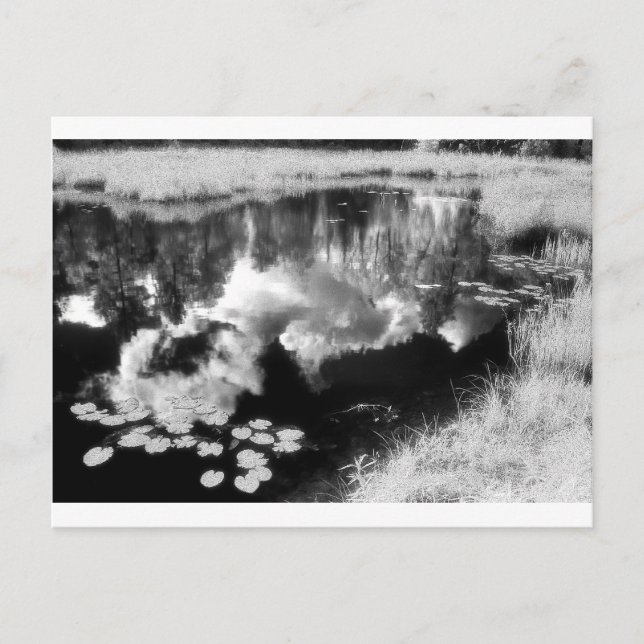 Carte Postale Northwoods Lake avec beau paysage réfléchi (Devant)