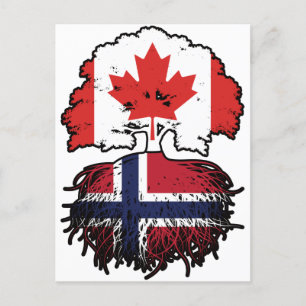 Carte Postale Norvège Norvégien Canadien Drapeau des racines de
