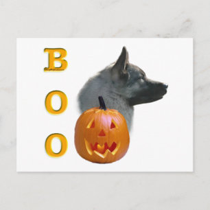 Carte Postale Norvégien Elkhound Boo