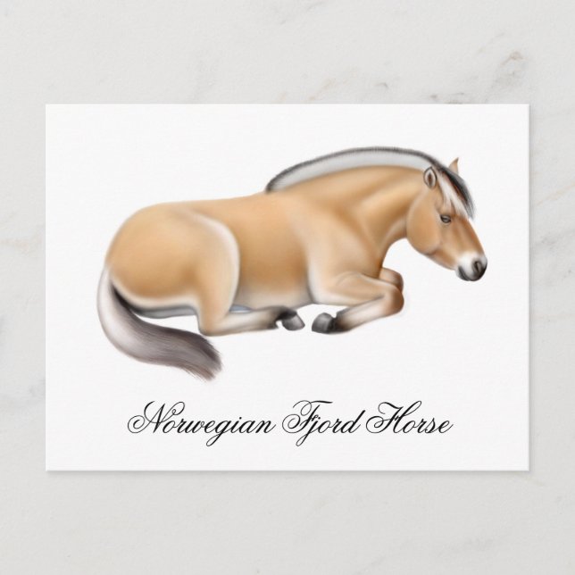 Carte postale norvégienne Fjord Horse (Devant)
