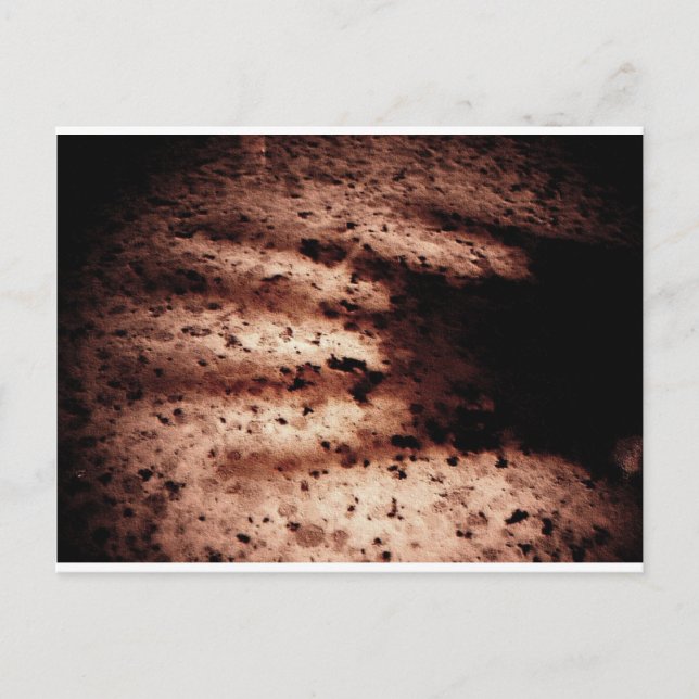 Carte Postale Nosferatu (Devant)