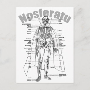 Carte Postale Nosferatu