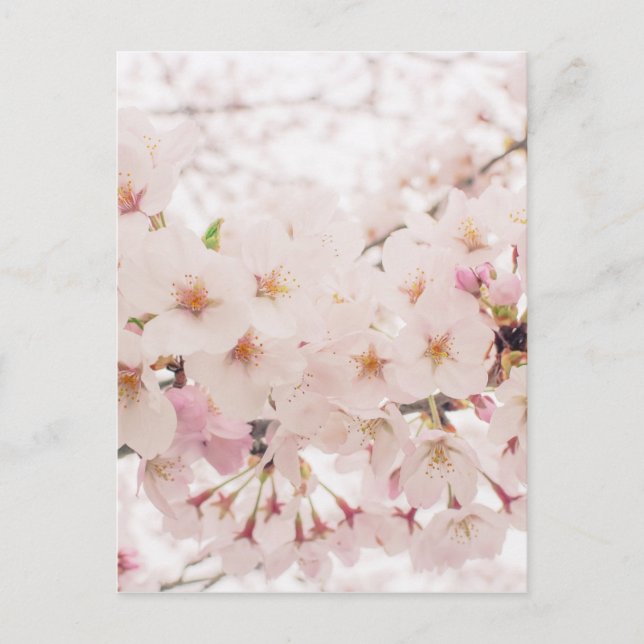 Carte Postale nostalgie (Devant)