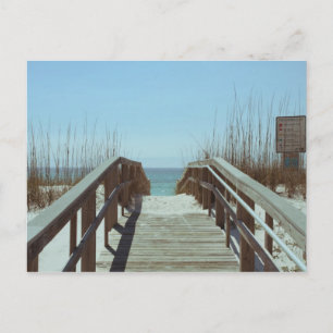 Carte Postale Nostalgique Old Beach Access Plage Pensacola