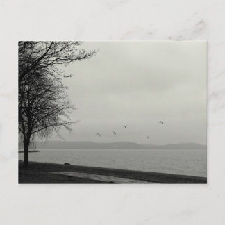 Carte Postale Not a sunshiny day at