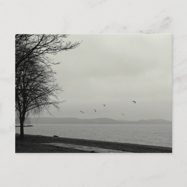Carte Postale Not a sunshiny day at (Devant)