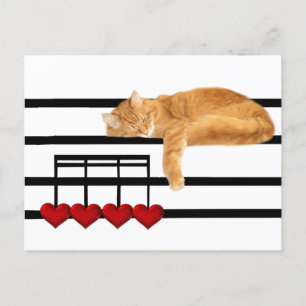 Carte Postale Notes d'amour du chat