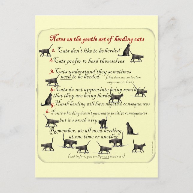 Carte Postale Notes sur l'art doux de l'élevage de chats (Devant)