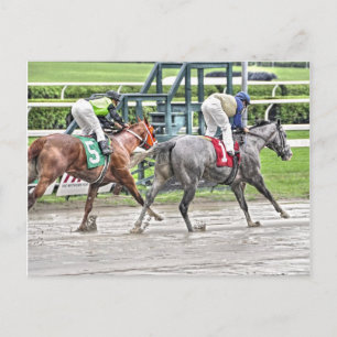 Carte Postale Notre Monsieur