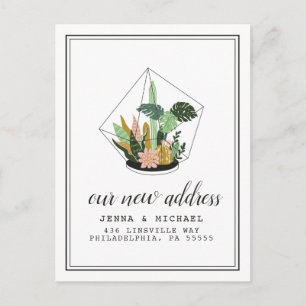 Carte Postale Notre nouvelle adresse   Terrarium succulent