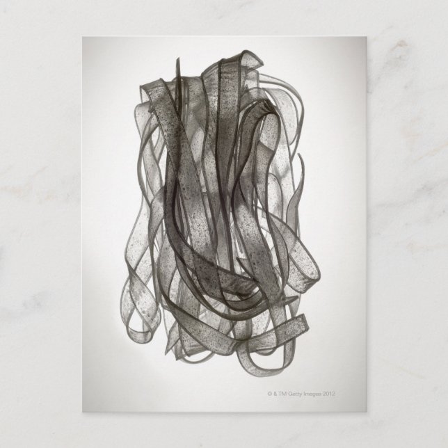 Carte Postale nouille chinoise (Devant)