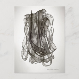 Carte Postale nouille chinoise