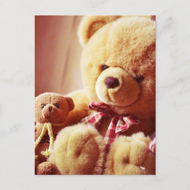 carte postale nounours (Devant)