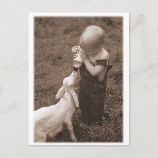 Carte Postale Nourrir la chèvre