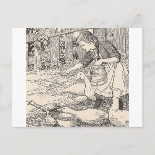 Carte Postale Nourrir Les Canards