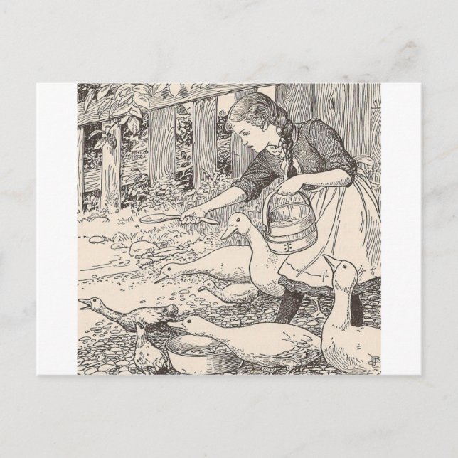 Carte Postale Nourrir Les Canards (Devant)