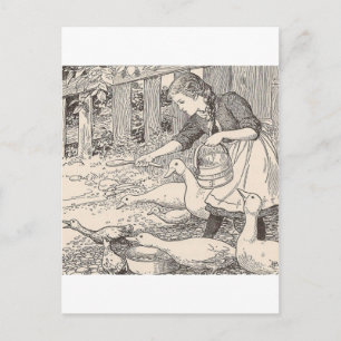 Carte Postale Nourrir Les Canards