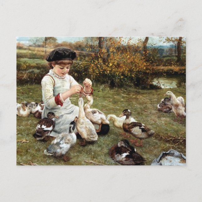 Carte Postale Nourrir les canards (Devant)