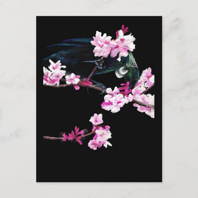Carte Postale Nourriture Tui sur les fleurs de cerisiers (Devant)