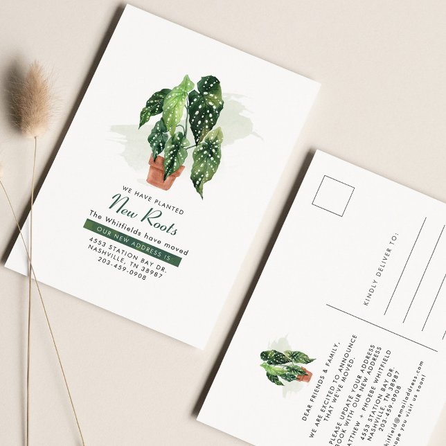 Carte Postale Nous avons déplacé le Plante d'aquarelle en mouvem (Créateur téléchargé)