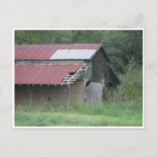 Carte Postale Nous diminuons tous