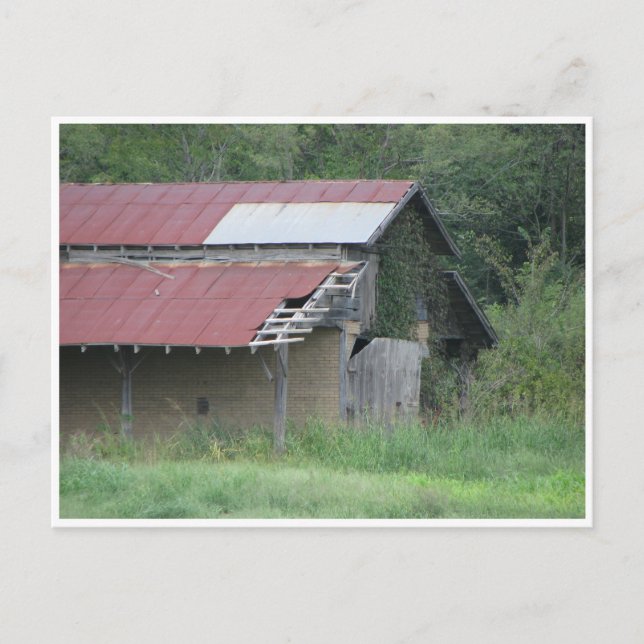 Carte Postale Nous diminuons tous (Devant)