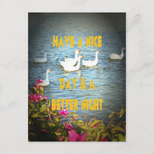 Carte Postale Nous laissons toujours nos clients heureux et sati