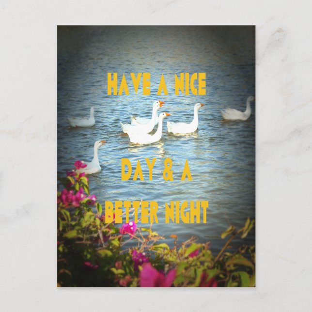 Carte Postale Nous laissons toujours nos clients heureux et sati (Devant)