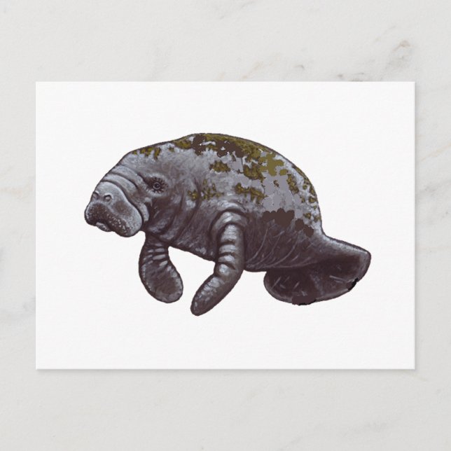 CARTE POSTALE NOUS REND HEUREUX (Devant)