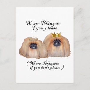 Carte Postale Nous sommes des Pékinois