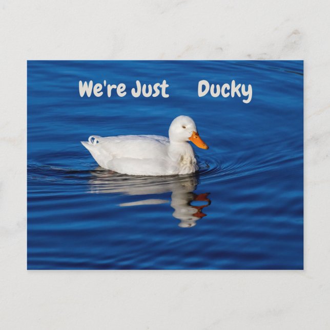 Carte Postale Nous sommes juste Ducky (Devant)