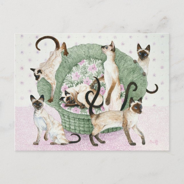 Carte Postale Nous sommes Siamais si vous vous plaît (Devant)