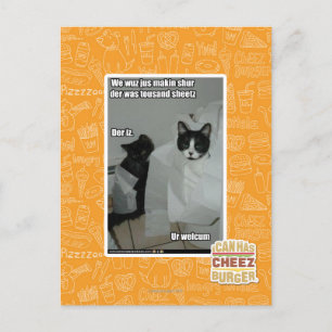 Carte Postale Nous voulons juste makin sur