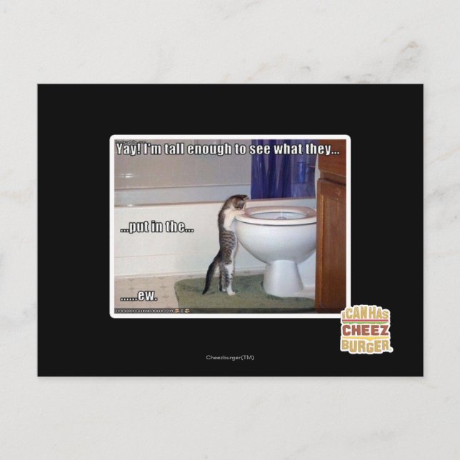 Carte Postale nouveau (Devant)